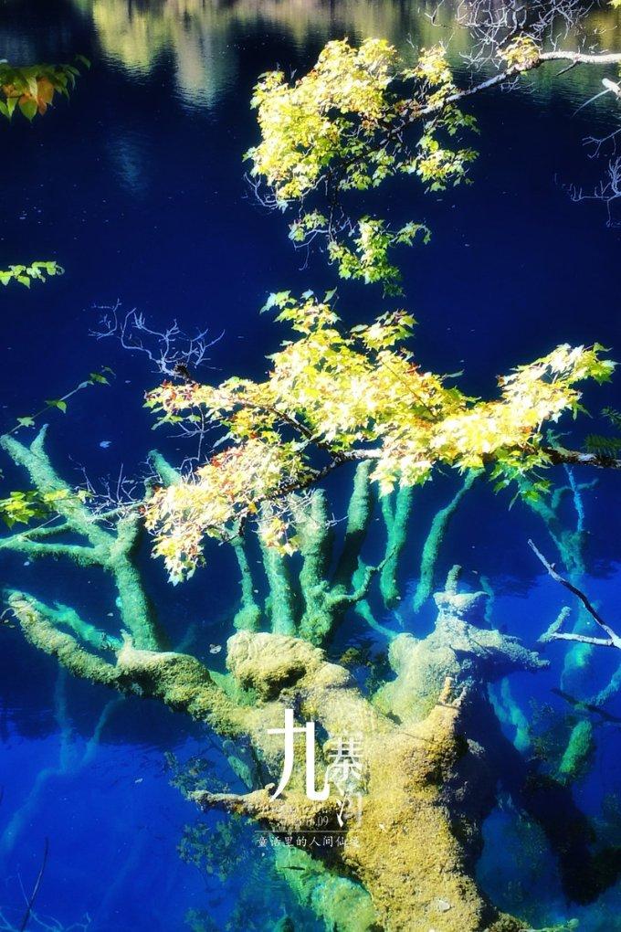 逃离海岛村